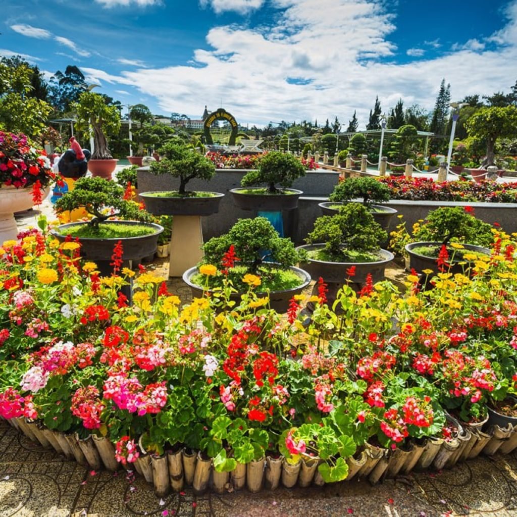 Flower Garden, Dalat